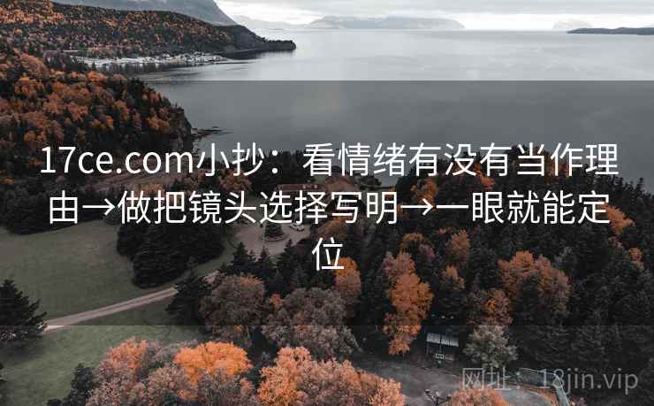 17ce.com小抄：看情绪有没有当作理由→做把镜头选择写明→一眼就能定位